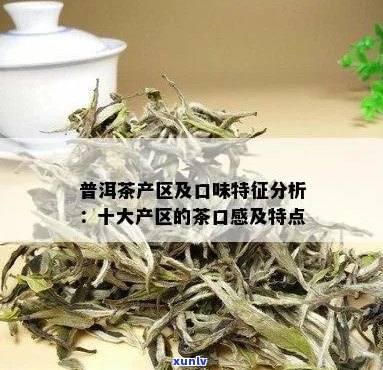 六大茶山普洱茶品种一网打尽：全面解析各具特色与口感的茶叶产品