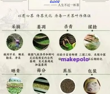 全面解析：几大茶山的普洱茶代表，助你轻松挑选优质茶叶