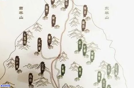 普洱茶六大茶山：名山古树、香气浓、回生津，你不可错过的茶山宝藏