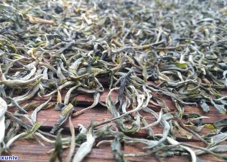 普洱茶种植与海拔：探究适宜生长条件与茶叶品质之间的关系