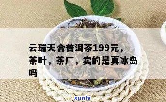 云瑞天合普洱茶199元：真冰岛！福建 *** 科技厂销正品