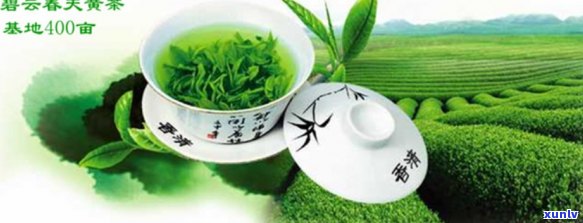 瑞云茶香：天合绿茶的品质与魅力