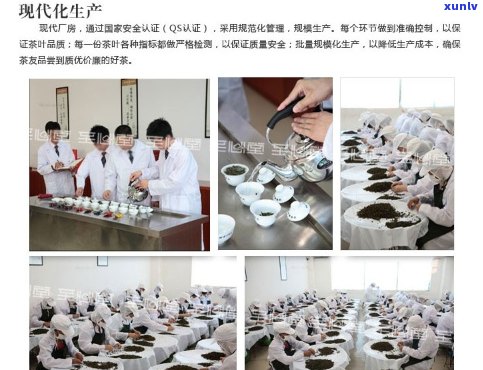 云瑞天合茶厂：品茗文化、茶叶品种、 *** 工艺与茶叶礼盒购买一站式指南