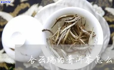 云瑞天合普洱茶价格