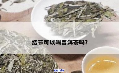 有结节的女性可以喝普洱茶吗？