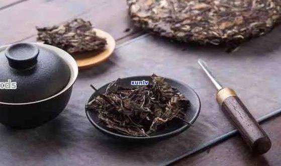 普洱茶与肺结节：患者饮茶是否会加重病情？