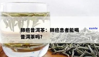 普洱茶与肺结节：患者饮茶是否会加重病情？