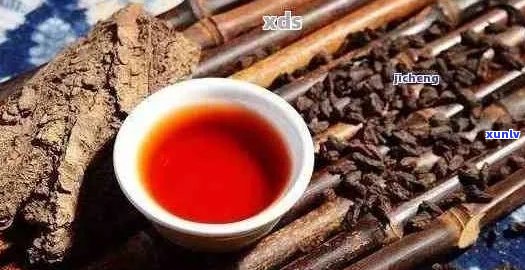 陈年老茶：200年号级普洱茶的魅力与传承