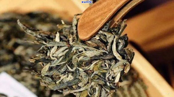 陈年老茶：200年号级普洱茶的魅力与传承