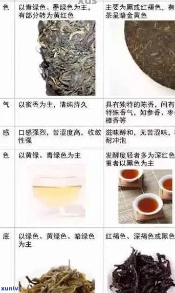 普洱茶品质鉴别：从原料、 *** 工艺到口感的综合评估