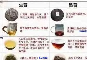 普洱茶品质鉴别：从原料、 *** 工艺到口感的综合评估