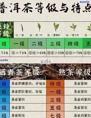 河内号普洱茶：品质、口感、产地、冲泡 *** 全面解析，助你成为普洱茶专家