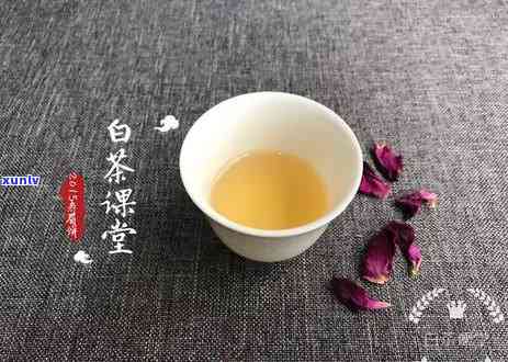 普洱茶分为几种类型：生茶、熟茶、散茶、饼茶等。