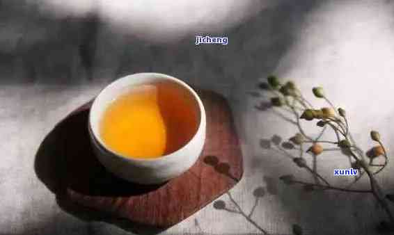 普洱茶品鉴与人生哲学：从饮茶中感悟生活的真谛