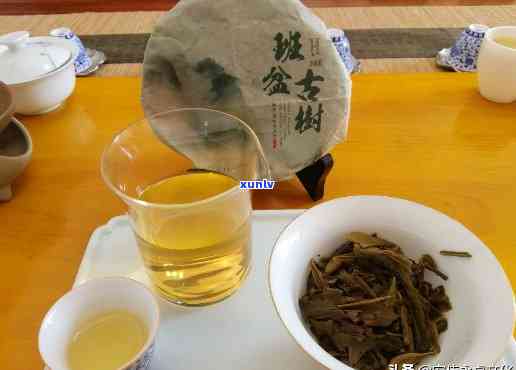 普洱茶茶店：除了普洱茶，还有哪些茶可以供应？如何搭配饮品？