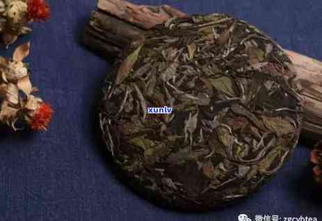 白茶不可以做普洱茶