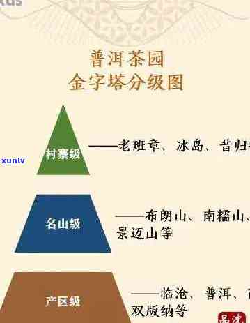 全面了解老牌普洱茶：历、产地、口感、功效等一应俱全的详细指南