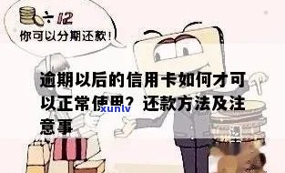 逾期信用卡还款后的处理方式与恢复正常使用全攻略