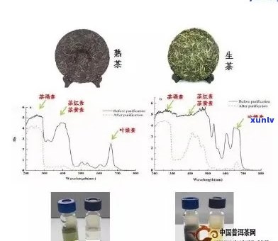 古树普洱茶农药成分安全性：能喝吗？有吗？内含物质有哪些？