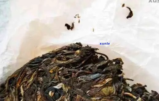 普洱茶变质了还能喝吗：探讨普洱茶的保存与品饮技巧