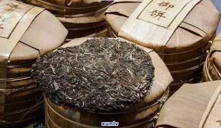 普洱茶变质了还能喝吗：探讨普洱茶的保存与品饮技巧