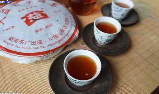 普洱茶博士：云南茶博士家的茶、茶王博士普洱茶，教授讲解价格及品质。