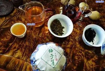 普洱茶爱好者的博友社区：品鉴、收藏与分享