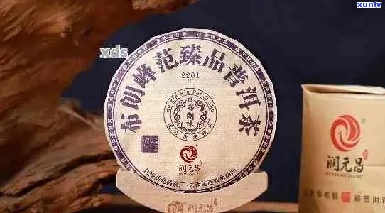 普洱茶新标与小茶厂：哪个更适合初学者？