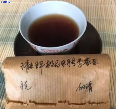 普洱茶新标与小茶厂：哪个更适合初学者？