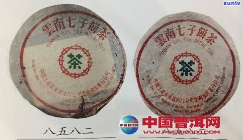 普洱茶新标与小茶厂