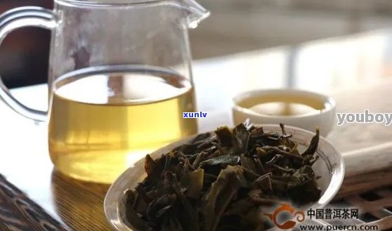 普洱茶泡完有絮状物正常吗？还能喝吗？