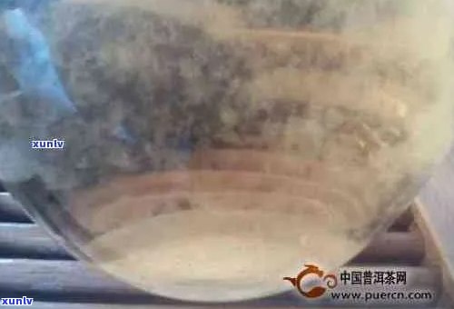 新普洱茶泡完出现絮状物？可能是这些原因导致的！