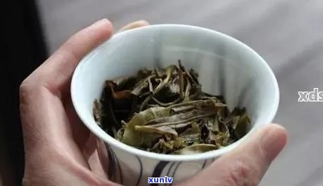 普洱茶泡完有絮状物