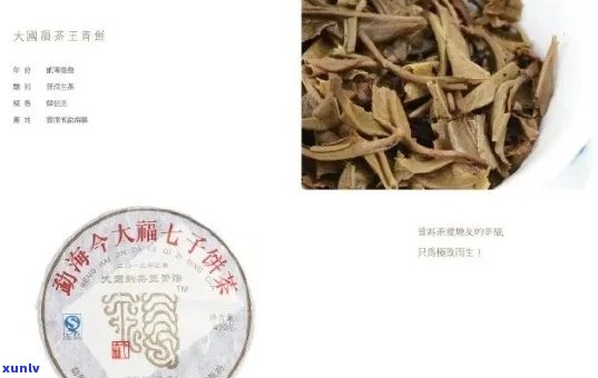 福今普洱茶：品种、产地、品质、泡法与品鉴全方位解析 - 中国