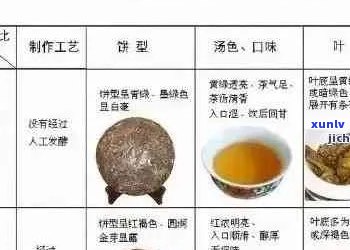 福今普洱茶：品种、产地、品质、泡法与品鉴全方位解析 - 中国