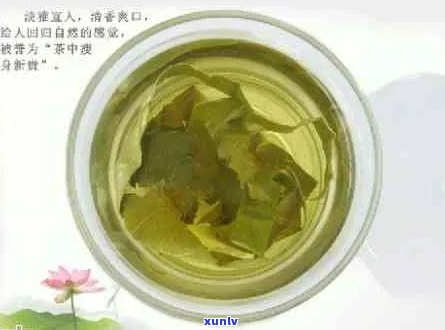 普洱茶荷叶功效与禁忌：解腻降脂、清肝明目，但孕妇、低血压人群饮。