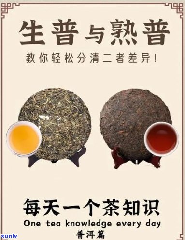 胃胀者可以喝普洱茶