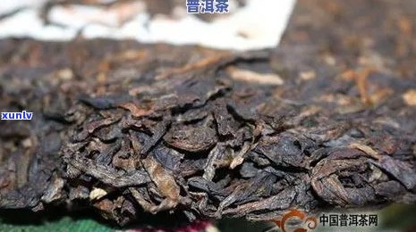 普洱茶怎么除病虫害：有效防治 *** 与防虫措