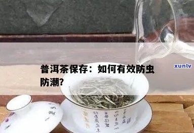 全方位解析普洱茶防虫的策略和 *** ，让你的茶叶保持新无虫！