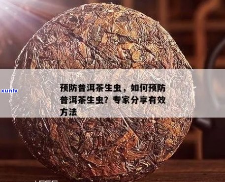 全方位解析普洱茶防虫的策略和 *** ，让你的茶叶保持新无虫！