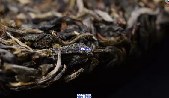 普洱茶如何防虫蛀：保存 *** 及防潮技巧