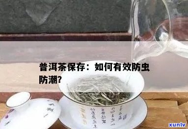 普洱茶如何防虫蛀：保存 *** 及防潮技巧