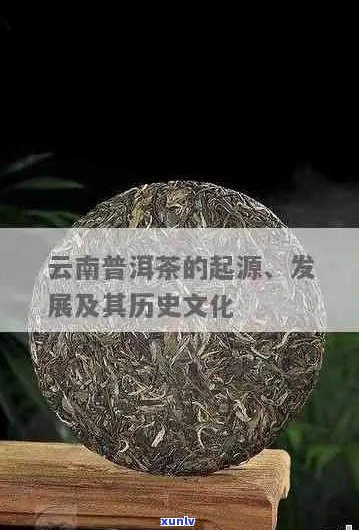 普洱茶的起源、产地及品种：全面了解中国普洱茶的相关信息