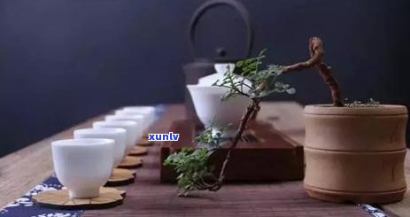 如何正确泡制普洱茶以获得口感？新茶购买后的详细泡法和技巧