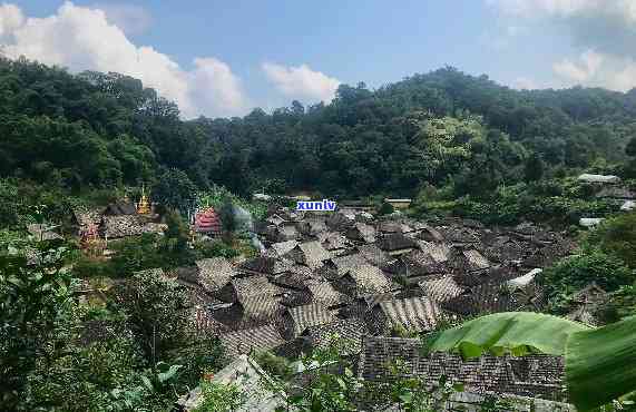 勐茶乡的普洱茶珍品之旅：一款传统与现代完美融合的臻品