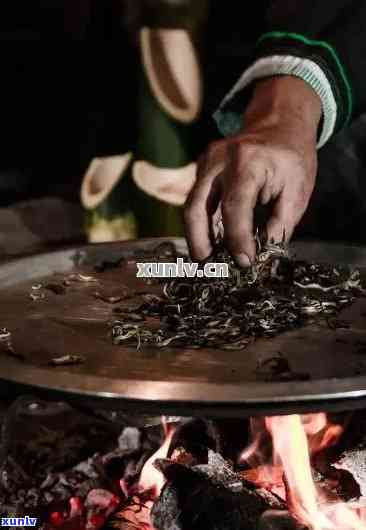 探究浴霸烤普洱茶的独特风味与影响：一篇全方位的体验分享