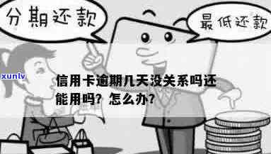 信用卡逾期与滞日期的区别：它们有关系吗？