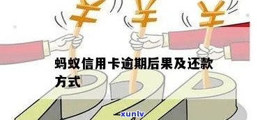 信用卡逾期未还款的后果：蚂蚁园用户必看，如何解决？