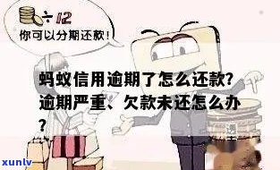 蚂蚁信用逾期了怎么还款：解决办法与消除影响