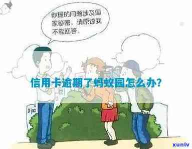 蚂蚁园信用卡逾期了